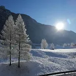 Ai Larici Affittacamere